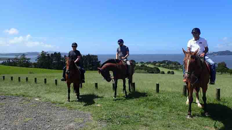 Come for a ride with us and experience a magical horse trek through the beautiful Bay of Islands!